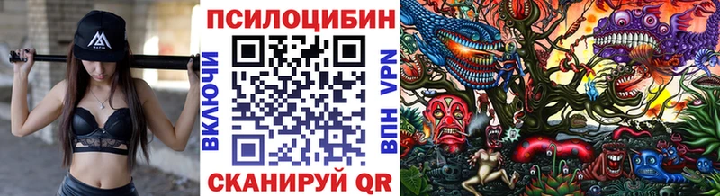 hydra ссылки хочу Орлов Галлюциногенные грибы Cubensis