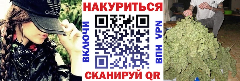 где купить наркотик  Орлов  Шишки марихуана White Widow 